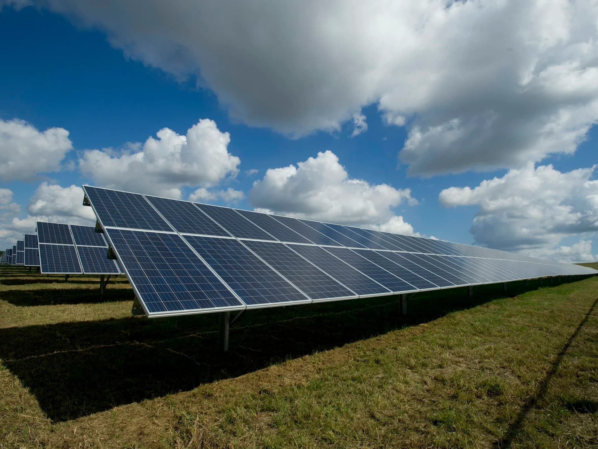 Rows of solar panels in a commercial solar farm